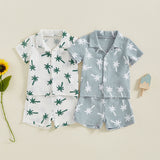 Palm Set