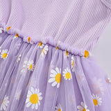 Sunshine Daisy Dress