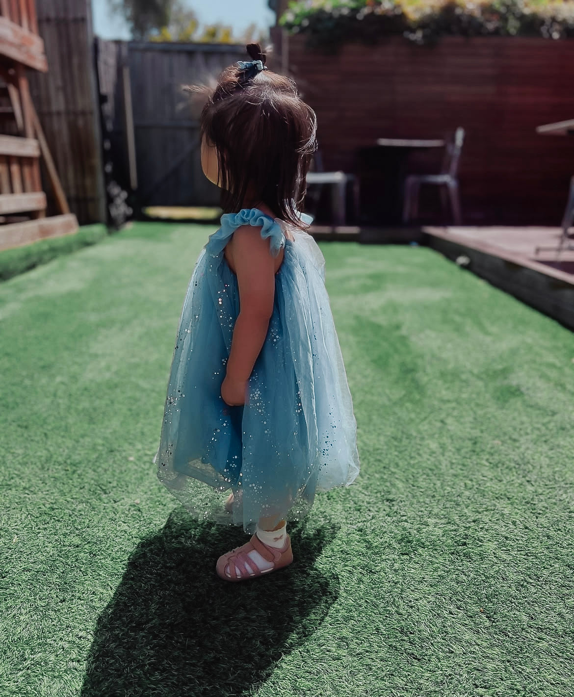 Lilly Party Dress